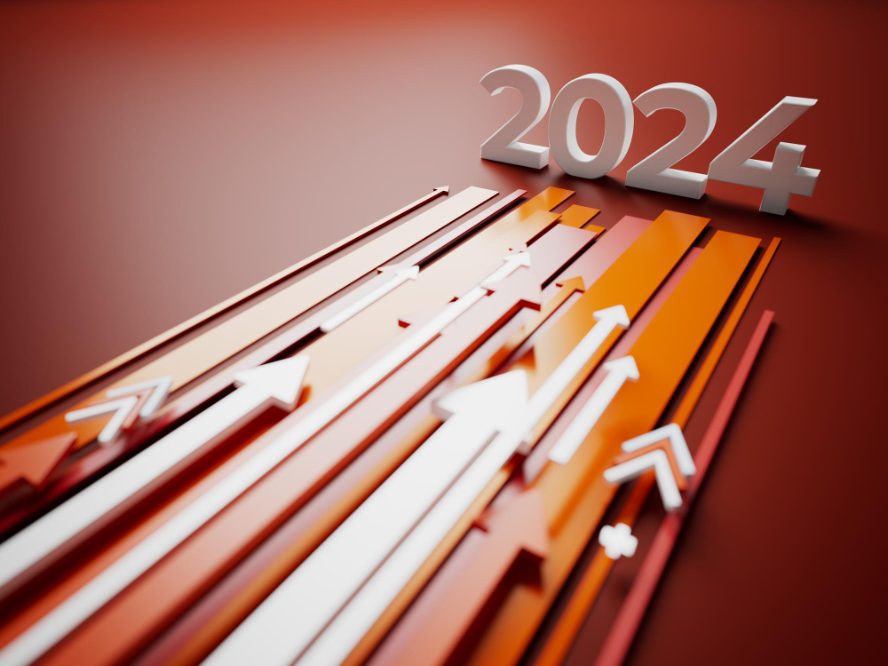 Statystyka roku 2024