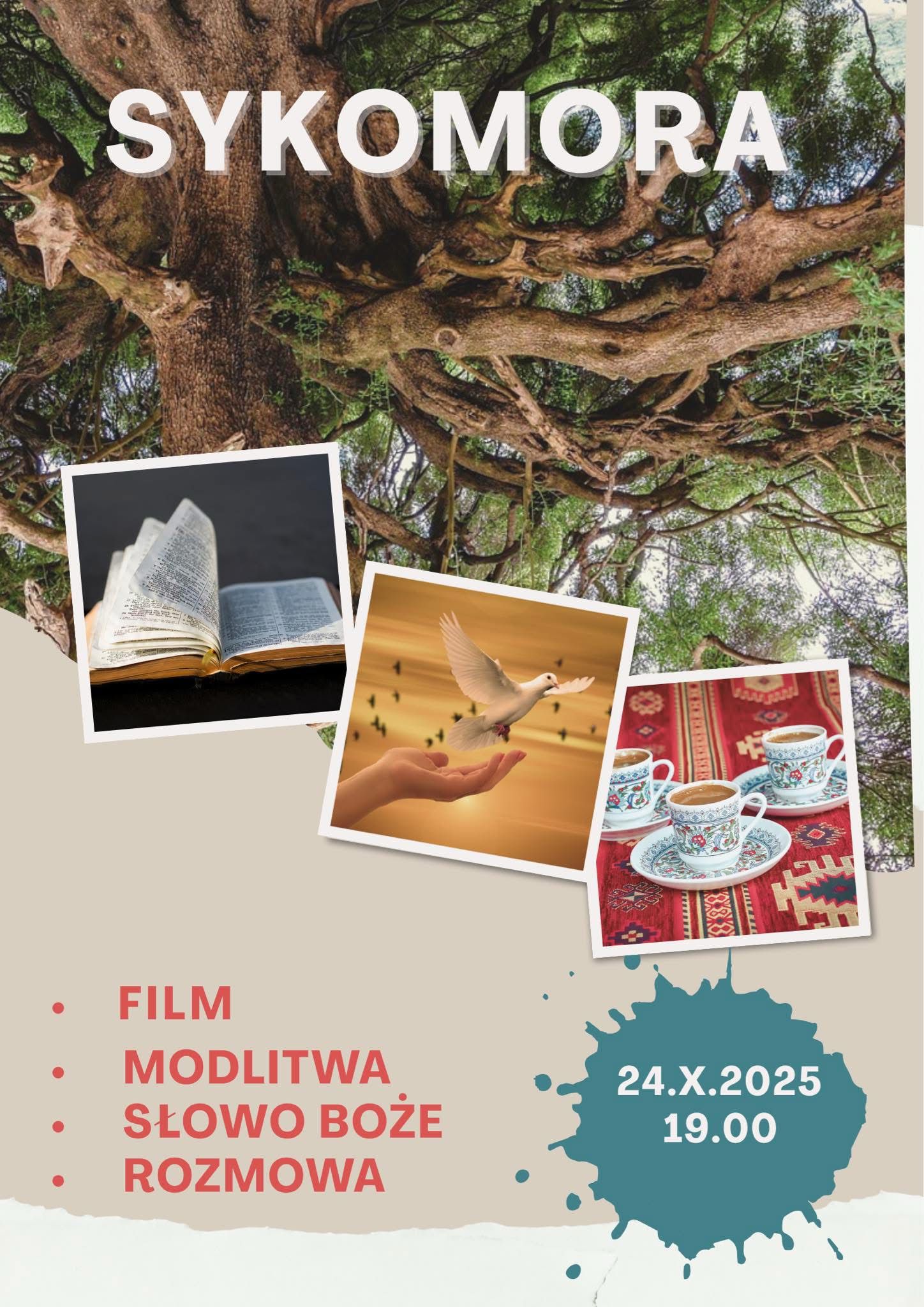 Sykomora plakat o spotkaniu
