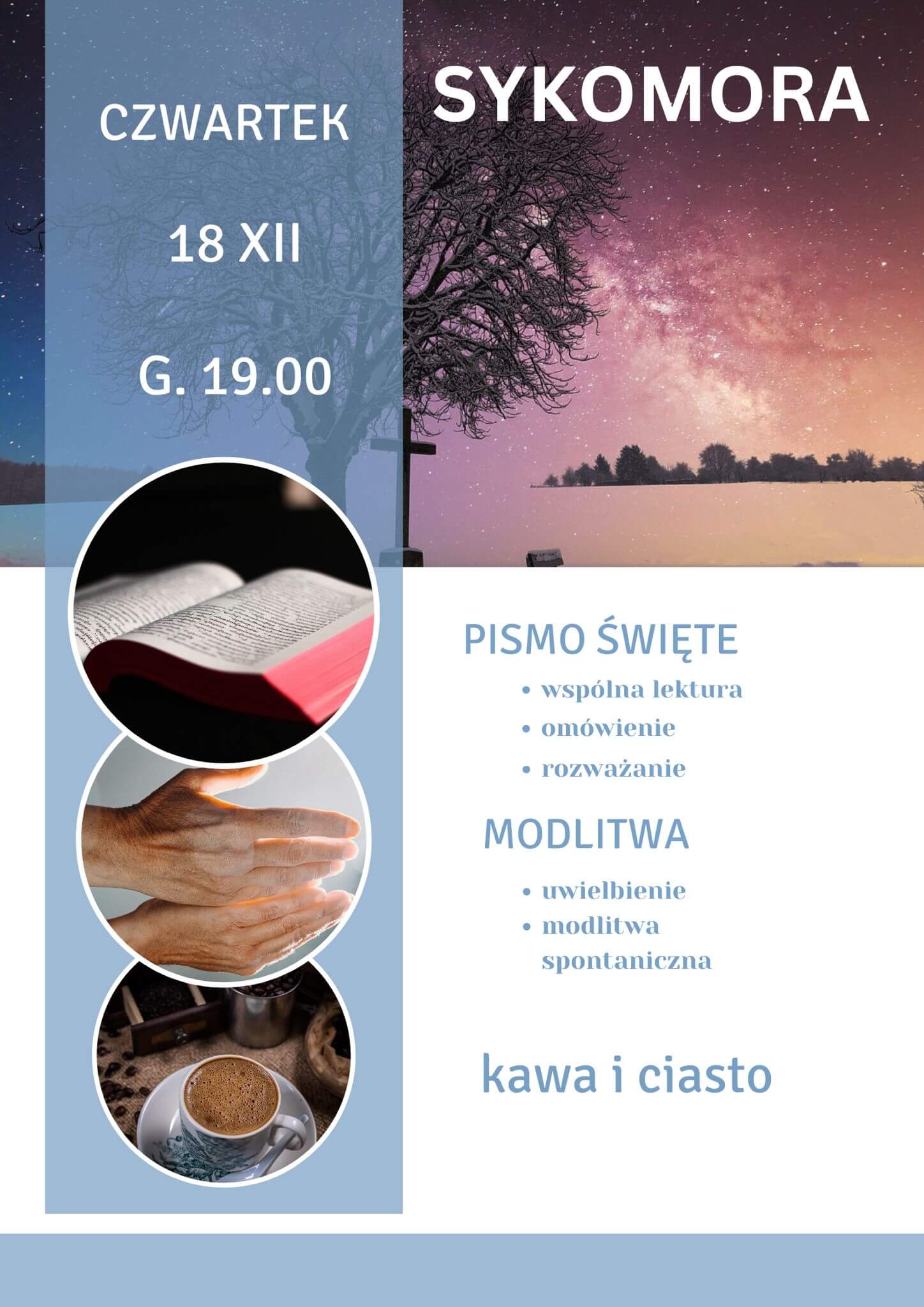 Plakat Sykomora w grudniu