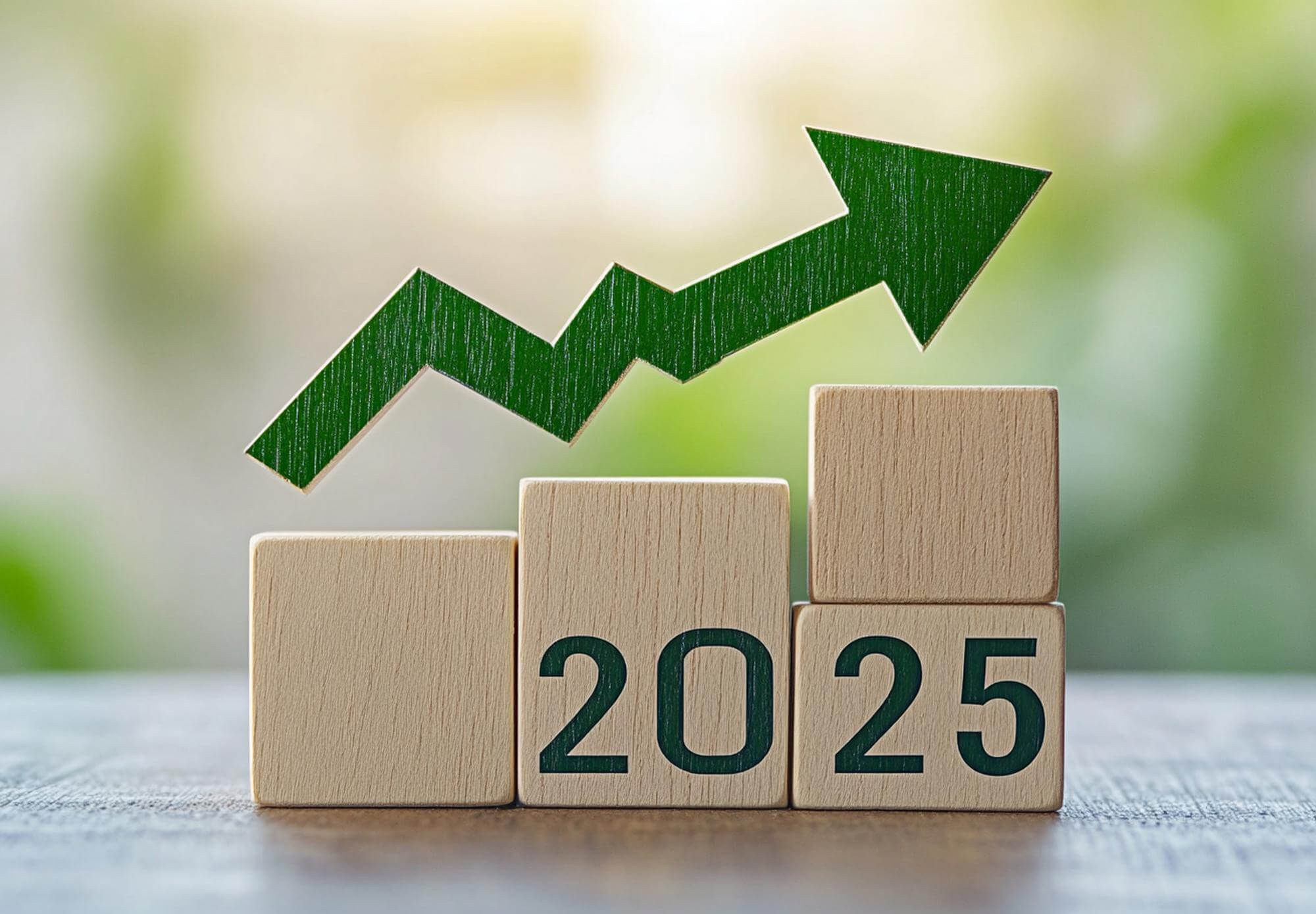 Statystyka za 2025 rok