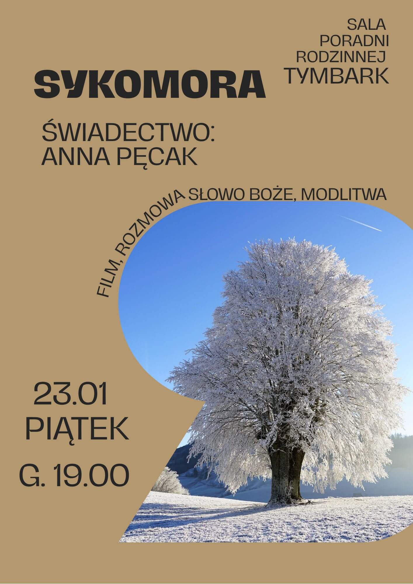 Spotkanie grupy Sykomora 23 stycznia