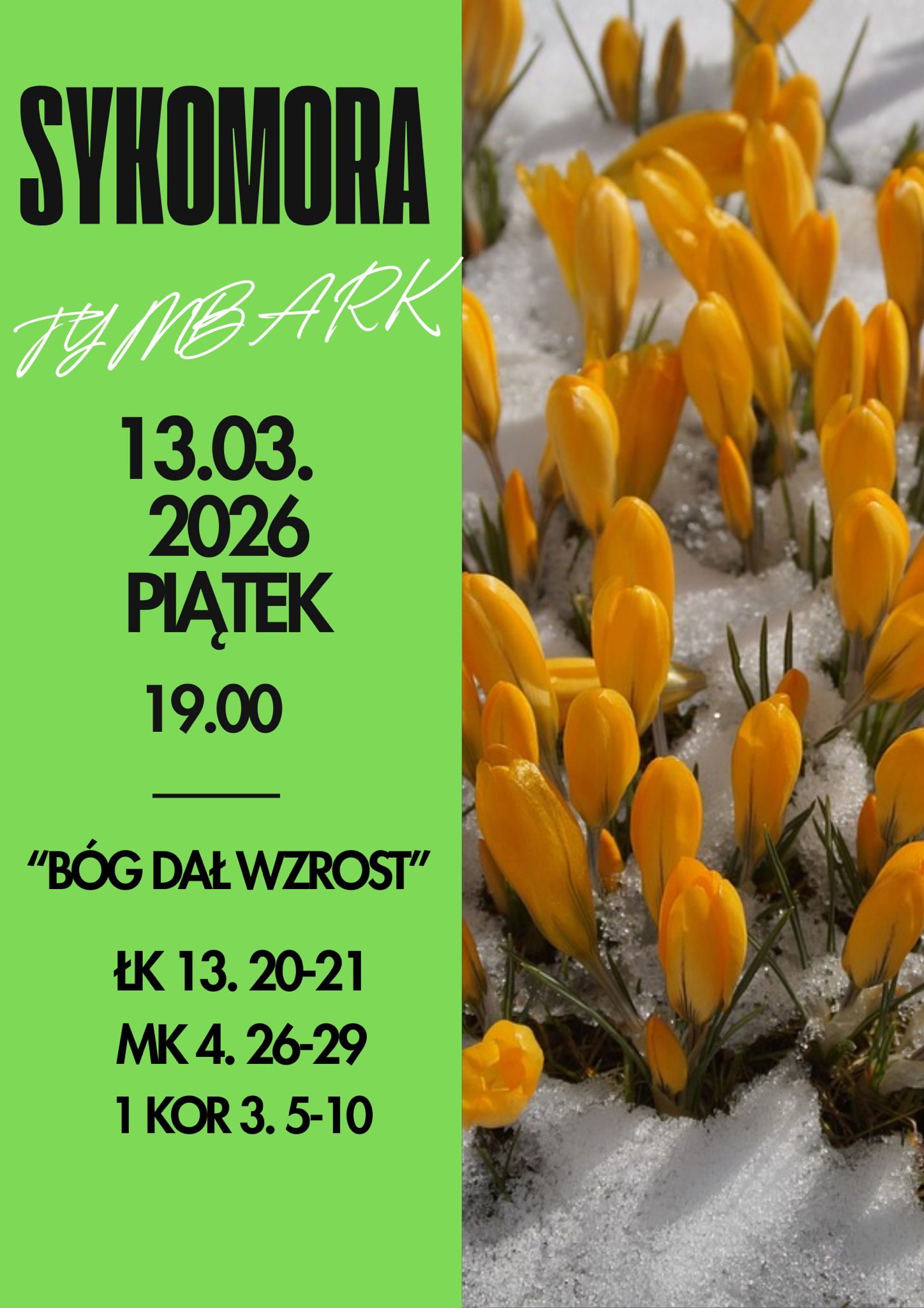 Spotkanie Sykomory w marcu