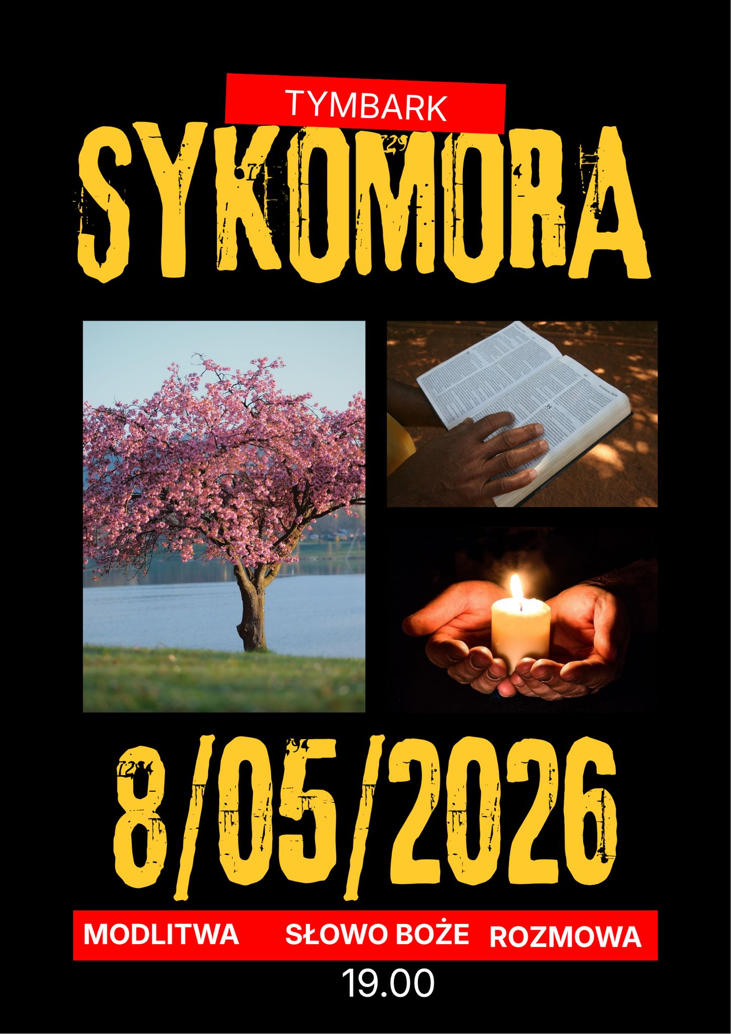 Spotkanie grupy Sykomora w maju